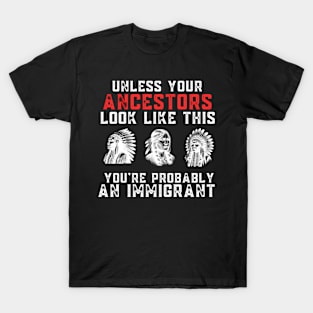 Your Ancestors Look Like This You'Re Probably An Immigrant T-Shirt